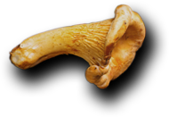 The Waterfall Restaurant - Dish