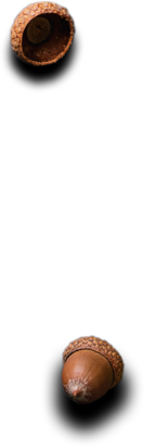 The Waterfall Restaurant - Dish