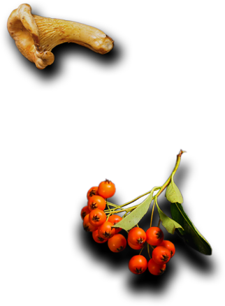 The Waterfall Restaurant - Dish