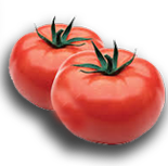 The Waterfall Restaurant - Dish